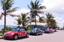 Pieno Punta Cana Day Mini Cooper Tour