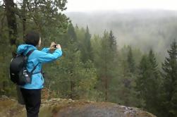 Mezza giornata Natura Avventura al Parco Nazionale di Nuuksio da Helsinki