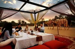 All-inclusive Pernottamento Safari per due nel Dubai Desert Conservation Reserve