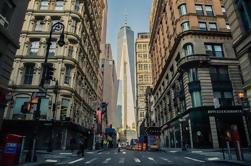 Private Guided Walking Tour Lower en Midtown Manhattan