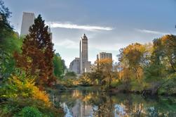 Privato visita guidata a piedi di Central Park