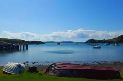 Half-Day Double Landtong Coastal Walk on Waiheke Island