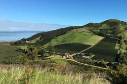 Half-Day Vineyards and Bush Walk em Waiheke Island