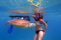 Cayos de Florida Excursión Eco, Paddle y Snorkel