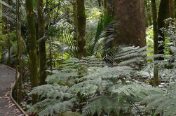 Shore Excursion: Bay of Islands Sightseeing Tour