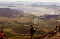 Caminata de Hobart: Cumbre de Mt Wellington a la caminata de la cervecería de la cascada incluyendo almuerzo gastrónomo