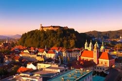 Billete de entrada al Castillo de Ljubljana