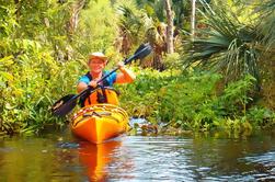 Excursión en kayak por el río Wekiva