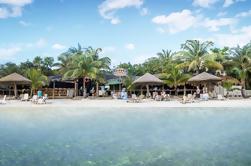 Excursión por la costa: West Bay Beach con almuerzo