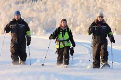 Tour de zapatillas de nieve en el Ártico Tromso