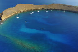 Excursiones de Aventura en el Arrecife de Maui a bordo del Ocean Freedom y Reef Explorer