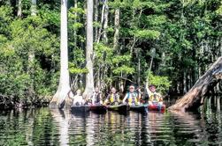 Excursión guiada de kayak de 3 horas de aventura