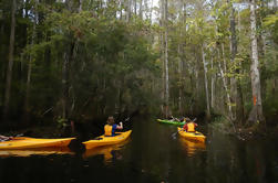 Excursión guiada de kayak de 2 horas de Eco-Transición