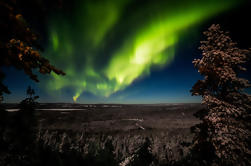 Discover Northern Lights: Fotografie Tour van Rovaniemi