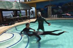 Curso completo de AIDA 1 Freediver em Moalboal