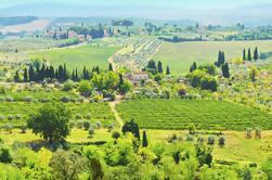 Chianti Semi-Private Cooking Class at a Tuscan Vil