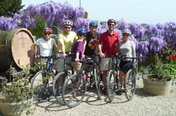 Tuscany Bike Tour from Florence