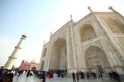 Excursão de um dia em grupo pequeno de Deli a Agra, incluindo entrada ao Taj Mahal e ao Forte de Agra