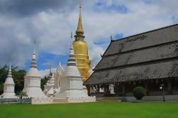 Chiang Mai Small-Group Cultural Tour