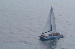 Vela con le balene dal Anaeho'omalu Bay