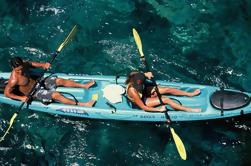 Experiencia de snorkel, kayak y delfines en la bahía de Kealakekua en la Isla Grande