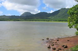 Viaje de pesca bajo de agua dulce en Kauai