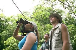 Visite guidée des oiseaux de San Jose