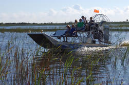 Passeio Privado: Passeio em Flórida Everglades e Aventura de Vida Selvagem