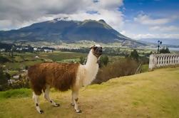 Otavalo Day Trip da Quito: Craft Market e Parq