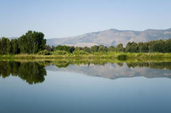 Excursión de un día a Golan Heights desde Tel Aviv