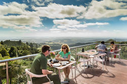Private Tour: Kumeu Land og kjøkken Tour fra Auckland