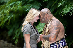 Auckland Shore Excursion: Maori Tour e Desempenho Cultural