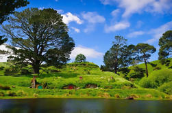 Waitomo Caves and The Lord of the Rings Hobbiton Movie Set Tour from Auckland with Private Transport