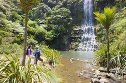 Waitakere Ranges Guidet Walk fra Auckland