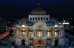 Garibaldi Night Tour