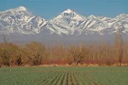 Mendoza Stadtrundfahrt