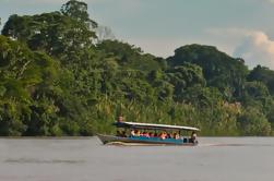 3-Day Amazon Jungle Tour at Inkaterra Reserva Amazónica