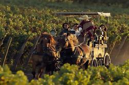 Ruta del Vino de Colchagua desde Santiago