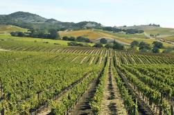 Tour privado del vino del valle de Casablanca