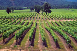 Tour del Vino del Valle de Maipo