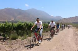 Bodega Santa Rita Tour de Bicicleta y Vino