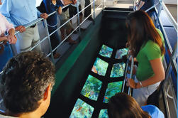 Tour de bateau en verre avec option coucher de soleil