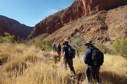 Excursión de 6 días por Larapinta a Alice Springs