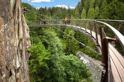 Vancouver Shore Excursion: City Tour y Capilano Suspension Bridge