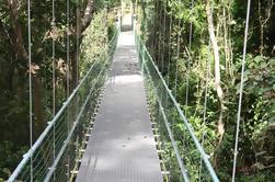 Roatan Shore Excursion: Puentes colgantes Eco Tour y Beach Break