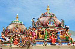 Tour Privado: Excursión de medio día a Chennai con Museo del Gobierno y Templo de Kapaleeshwar