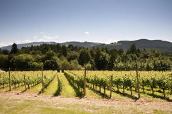 Vancouver Shore Ausflug: Private Fraser Valley Wine Tour