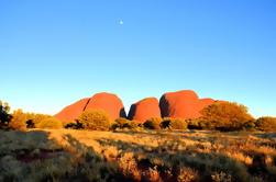 3-Day Ayers Rock, Olgas og Kings Canyon Camping Safari