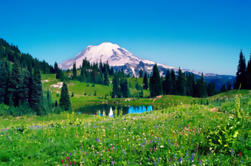 Mt Rainier Day Tour from Seattle