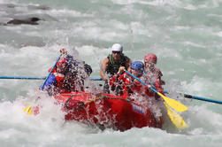 Sunwapta Challenge Whitewater Rafting: Klasse III Rapids